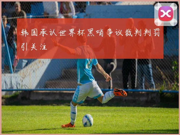 韩国承认世界杯黑哨争议裁判判罚引关注