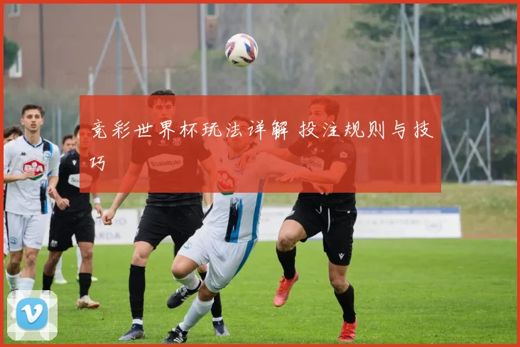 竞彩世界杯玩法详解 投注规则与技巧