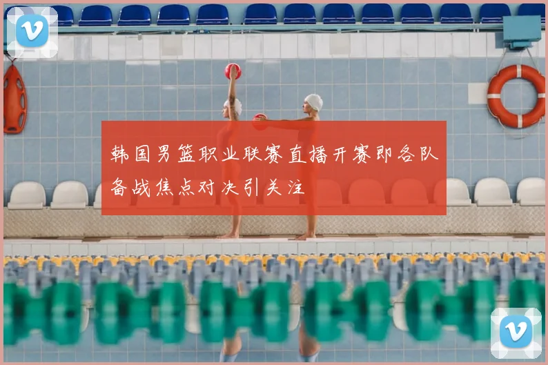 韩国男篮职业联赛直播开赛即各队备战焦点对决引关注