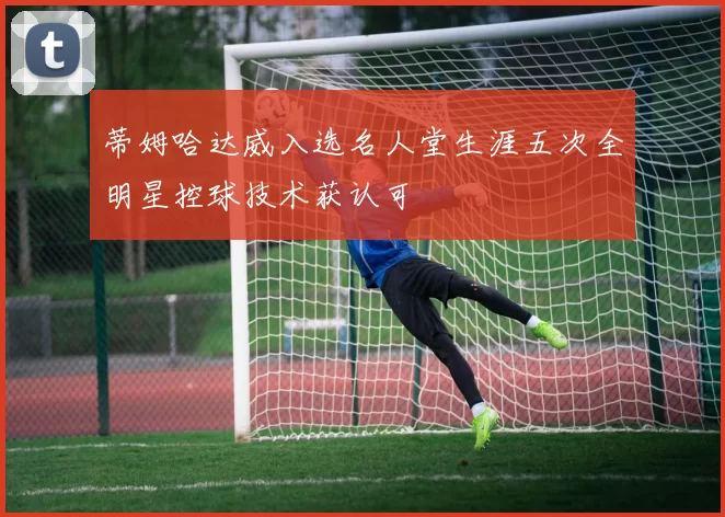 蒂姆哈达威入选名人堂生涯五次全明星控球技术获认可